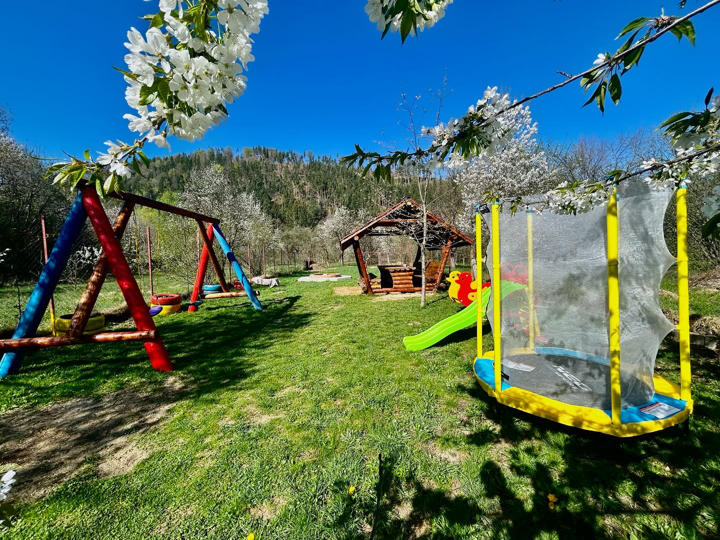 Grădină - imagine 1